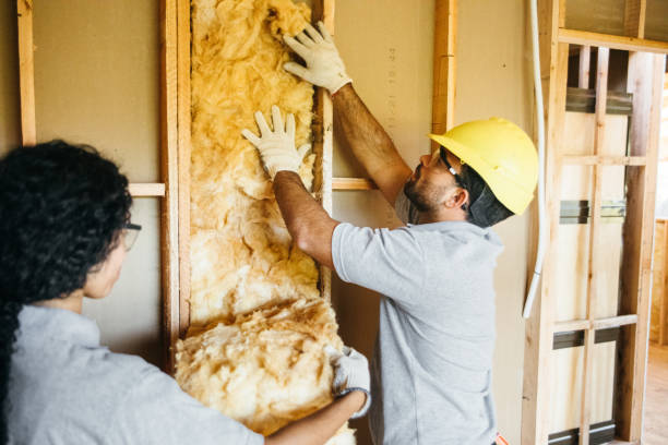 Best Attic Insulation Installation  in Rolesville, NC